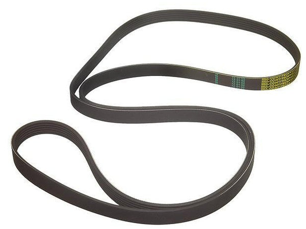 Serpentine Belt ML