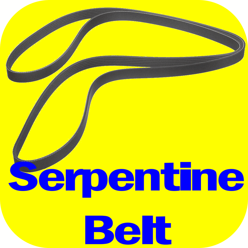 Serpentine Belt for Toyota Land Cruiser Sequoia Tundra V8 Lexus GX470