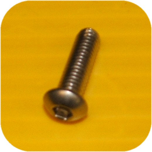 Stainless Steel Allen Head Bolt M6x20