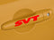 SVT Door Handle Logo Sticker Emblem Ford Focus Mustang F150 Pickup Truck Cobra