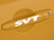 SVT Door Handle Logo Sticker Emblem Ford Focus Mustang F150 Pickup Truck Cobra